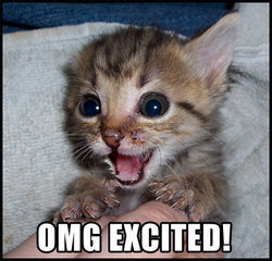 excitedcat